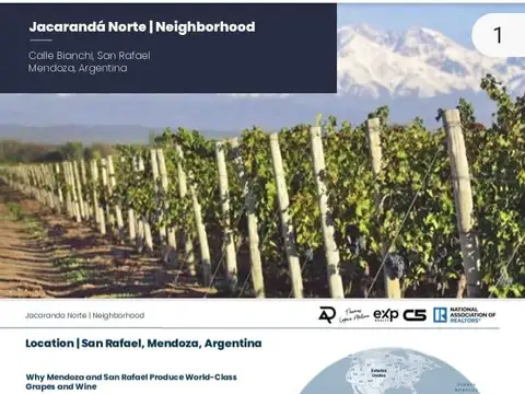 Quinta en Venta, en El Salto, San Rafael, Mendoza