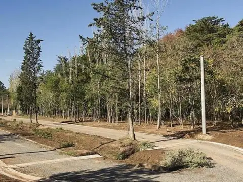 Oportunidad! Lote En Venta En Barrio San Juan Bautista, Pilar, Buenos