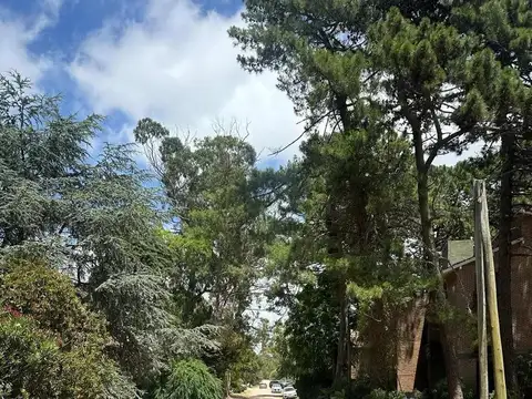 Del Cazón y de las Artes