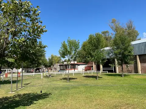 Fracción 8600 m2 en venta en Villa Udaondo. Oportunidad