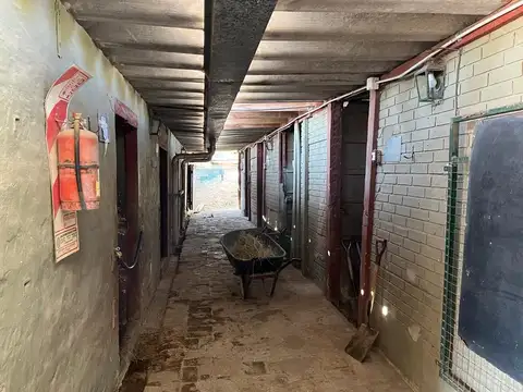 Terreno en Venta en Villa Gobernador Udaondo, USD 850.000