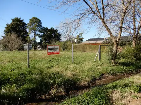 Rafael Obligado Esquina Rodo