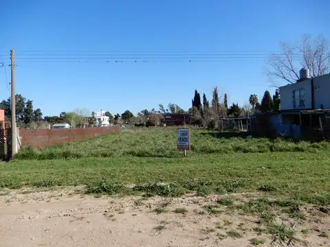 Constancio C. Viguil Y Rafael Obligado