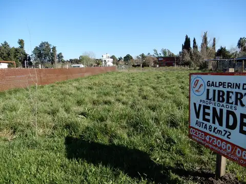 Constancio C. Viguil Y Rafael Obligado