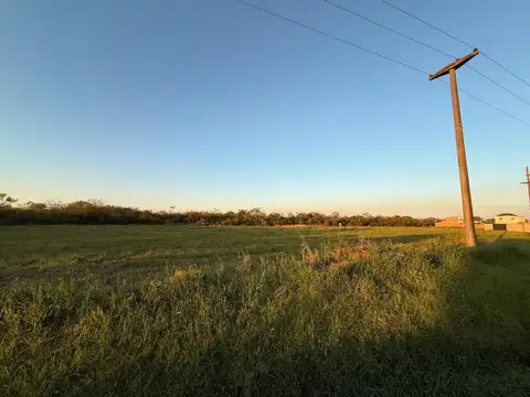 constitucion nacional