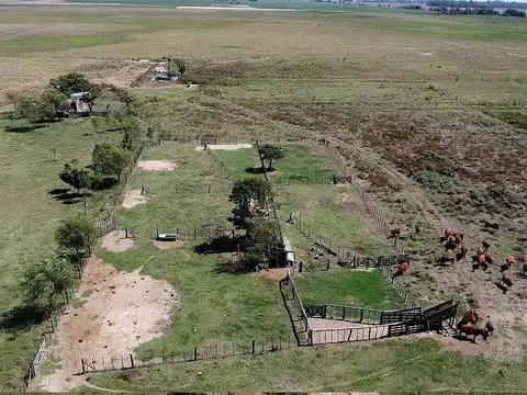 Campo en Venta Ganadero