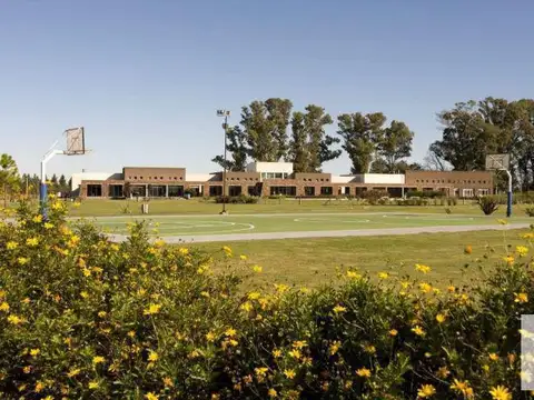 Campos De Roca