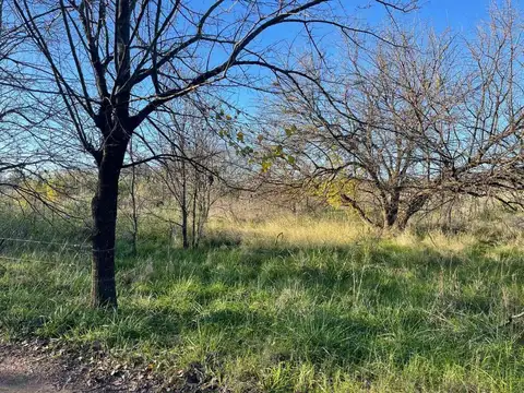 VENTA CAMPO CHACRA 12 HECTAREAS LUJAN