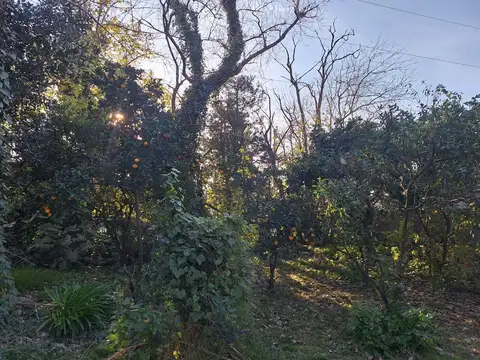 Terreno en Venta de 300,0 m2