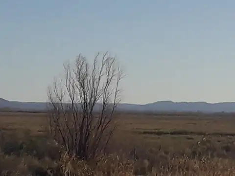 Quinta en Venta en San Rafael, USD 516.000