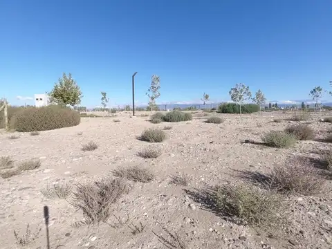 LOTE DE MZNA "A" LOTE 16 DE 676M2 B° QVATTRO VIAMONTE CON TOUR VIRTUAL