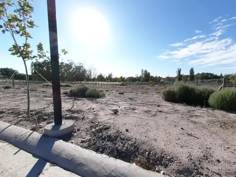 Terreno en Venta 55  mts Frente