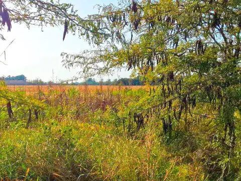 Campo en Zarate