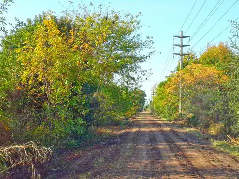 Campo en Zarate