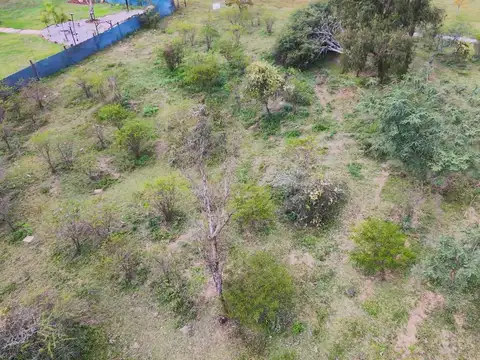 Terreno en El Algarrobal