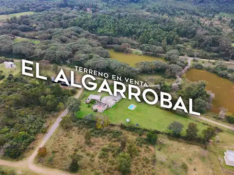 Algarrobal