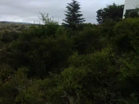 Terreno en Venta de 891,0 m2