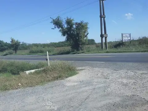 Campo en venta  - Casilda