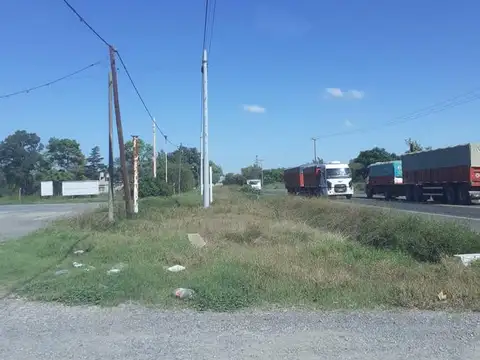 Campo en venta  - Casilda