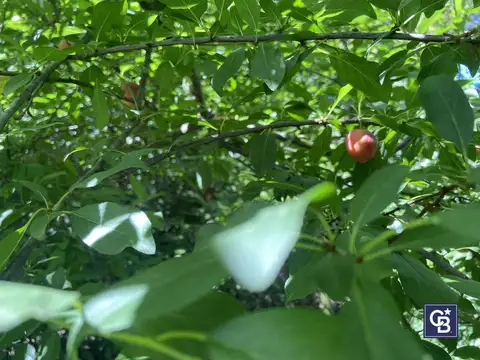 Venta de amplio lote en Rincón de Tortuguitas