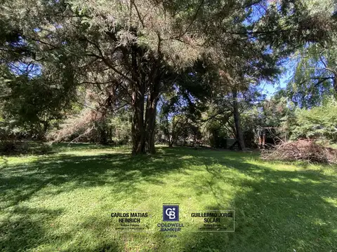 Otawa (Sto Domingo) al 3000