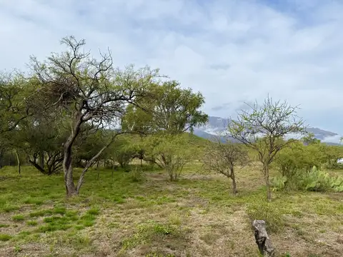 Terreno en Venta de 2427,0 m2