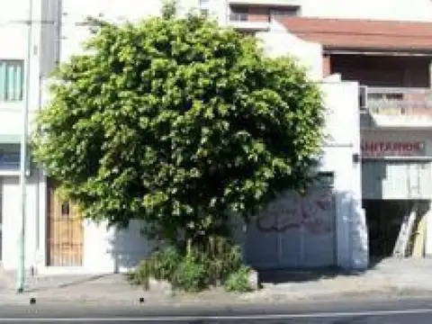 OPORTUNIDAD | EXCELENTE LOTE 177 M² |   A 4 CUADRAS AV. CABILDO | ESCUCHA OFERTAS | BELGRANO