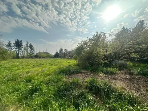 Terreno en Venta de 534,0 m2