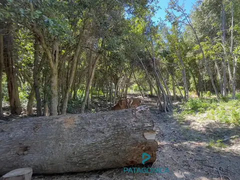 VENTA - Lote/Terrerno UF2 de 920m2 en Lomas del Correntoso, Villa La Angostura