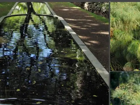 Terreno en Venta en José Ignacio, USD 400.000