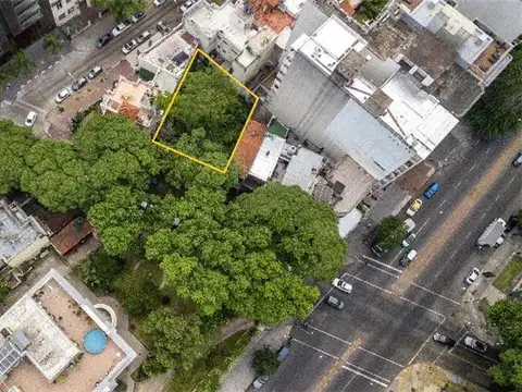 Pocitos, Oportunidad Única, 503 m² sobre José Ellauri...
