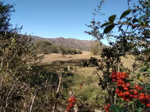 Terreno en Venta en Villa General Belgrano, USD 27.000