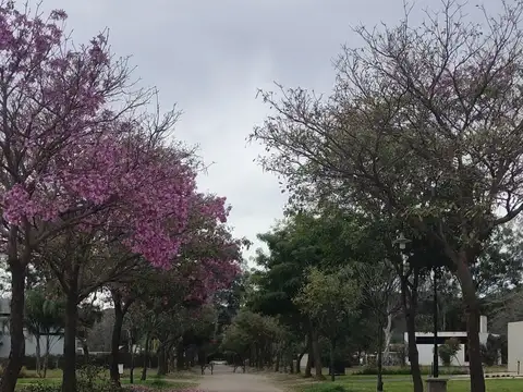 Terreno en Venta Country chacras de valle nuevo