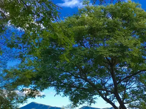 Terreno en Venta de 1,0 m2