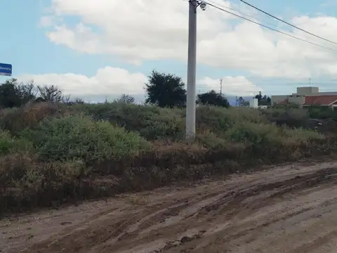 Batalla La Angostura