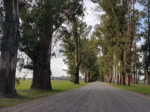 Ruta 6 KM 142 100