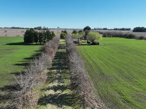 Campo en Venta de 20  ha