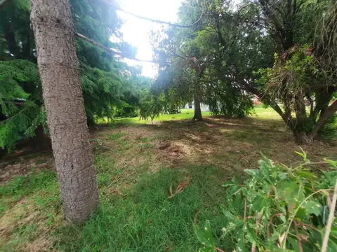 Terreno en Venta 10  mts Frente