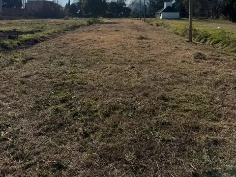 LOS FRESNOS Y LOS NOGALES