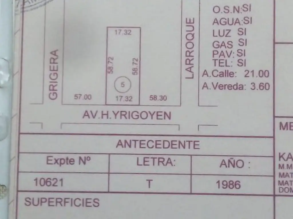 Hipolito Yrigoyen al 7700
