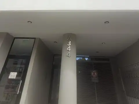 Ameghino 300