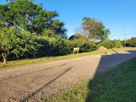 Mariano Sanchez y Urdinarrain