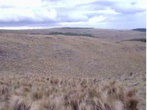 Camino Al Durazno 3000