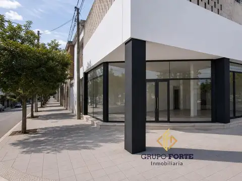 VENTA LOCAL ESQUINA EN SAN VICENTE