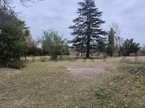 Terreno en Alquiler de 3054,19 m2