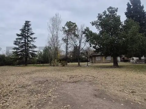 CARRIL RODRIGUEZ PEÑA 700, Piso 0