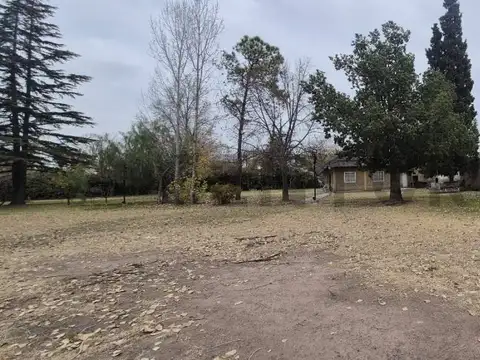 Terreno en Alquiler en Godoy Cruz, USD 3.800