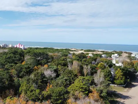 LOTE VENTA EN CARILO SOBRE AVENIDA DIVISADERO