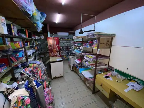 Casa tipo PH, con locales, en venta.