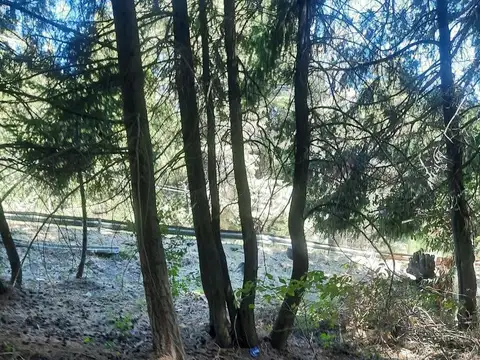 Terreno en Venta, FOT 453